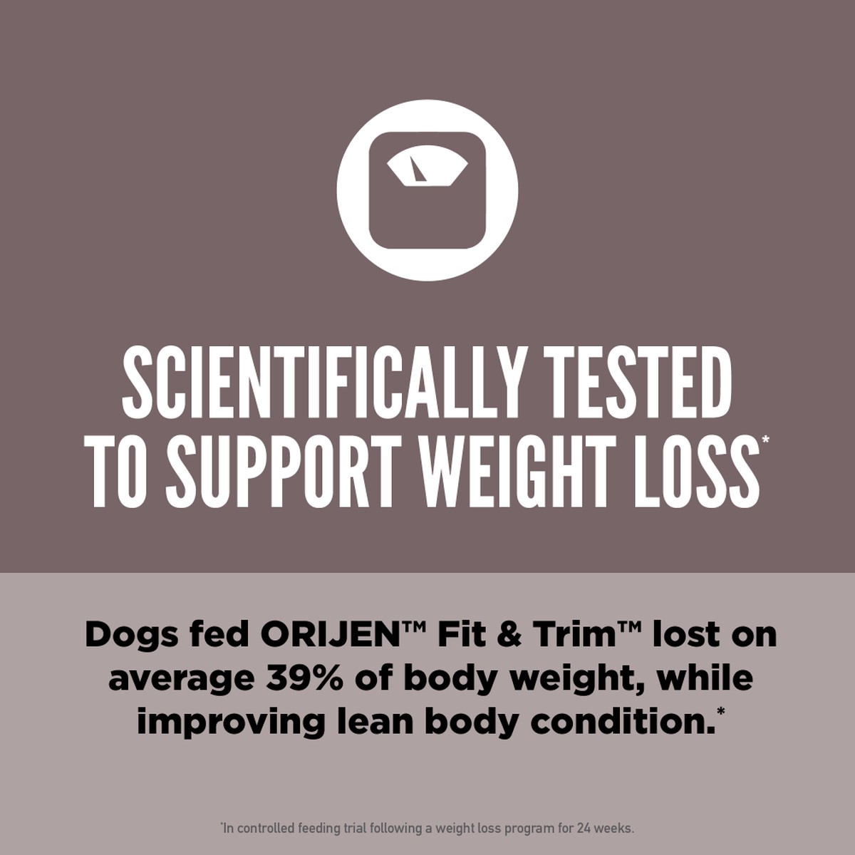 Orijen Fit & Trim™ Grain Free Dry Dog Food 4.5lb / 2kg | 73829-AOFD