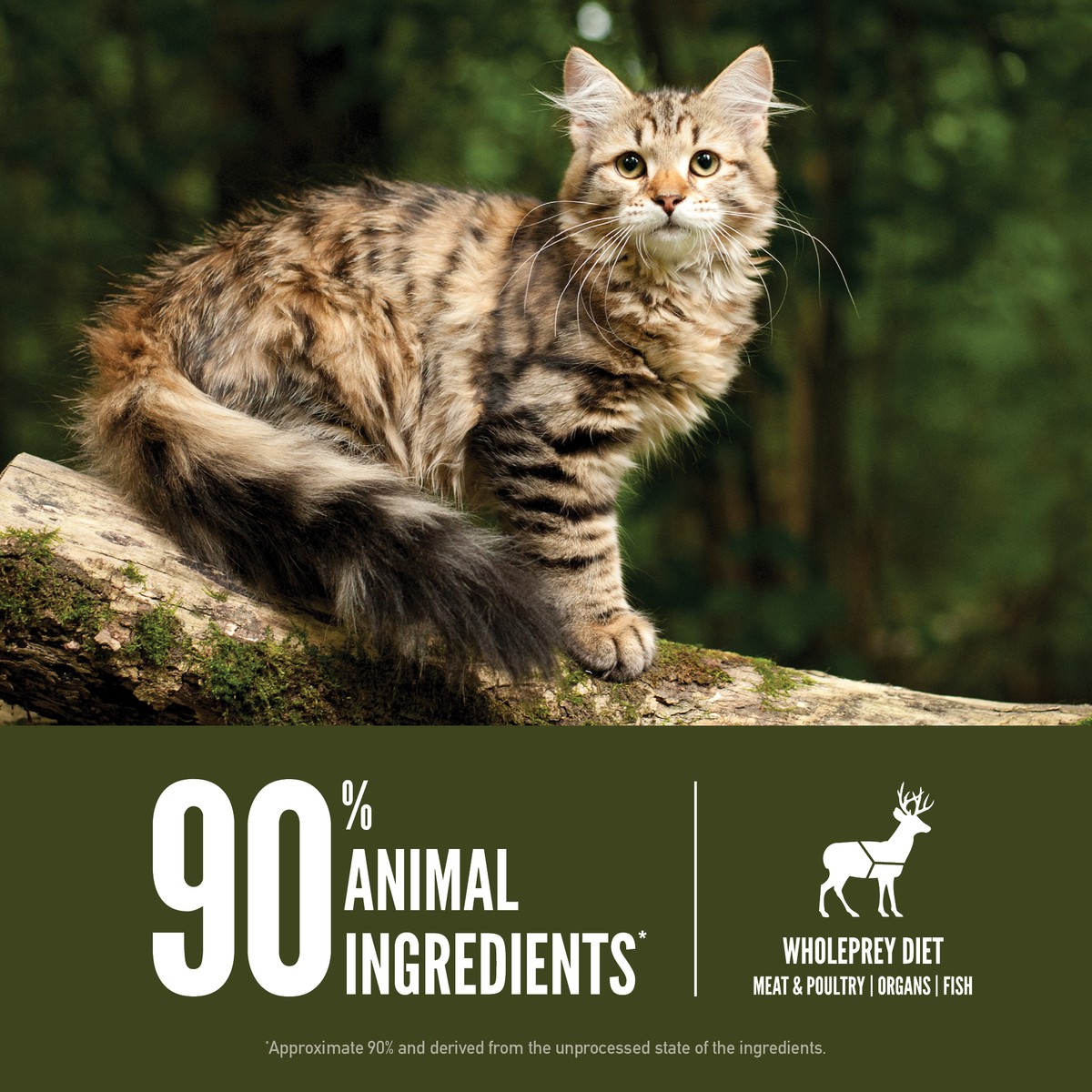 Orijen Tundra® Grain Free Dry Cat Food 4lb / 1.8kg | 24571-JOQW